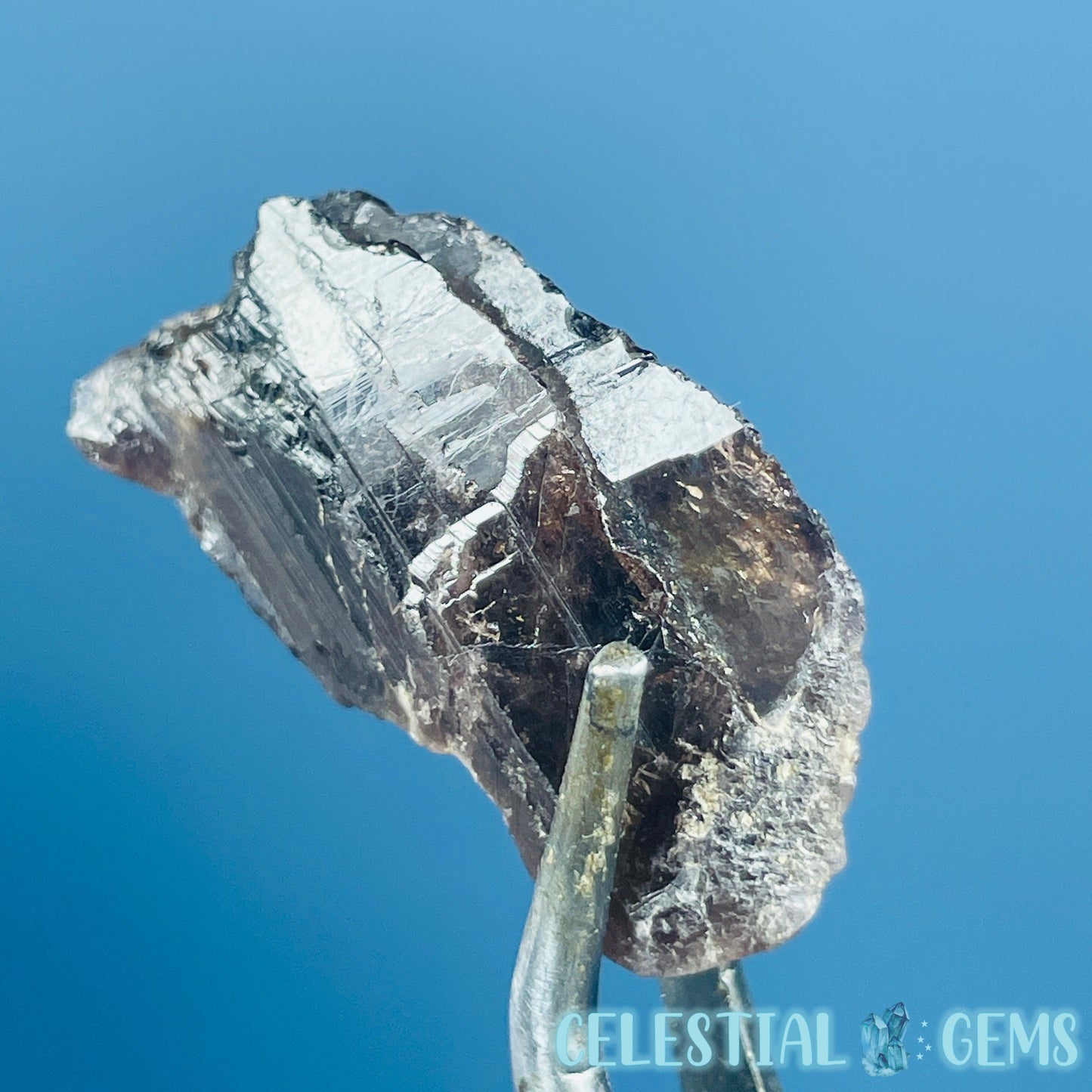 Rare Axinite Shard Gemstone Specimen with Pleochroism (Video)