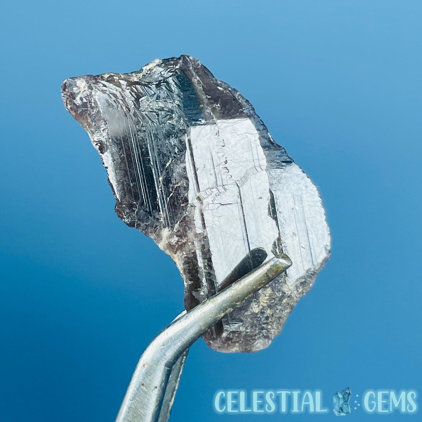 Rare Axinite Shard Gemstone Specimen with Pleochroism (Video)