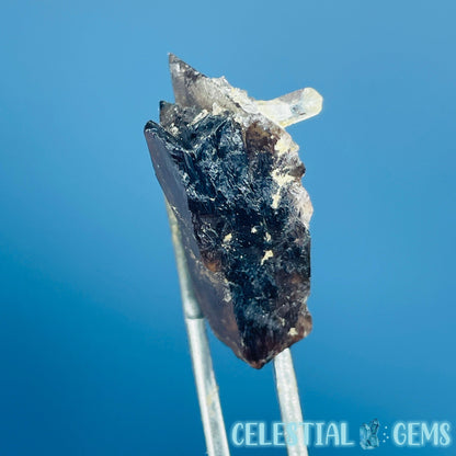 Rare Axinite Shard Gemstone Specimen with Pleochroism (Video)