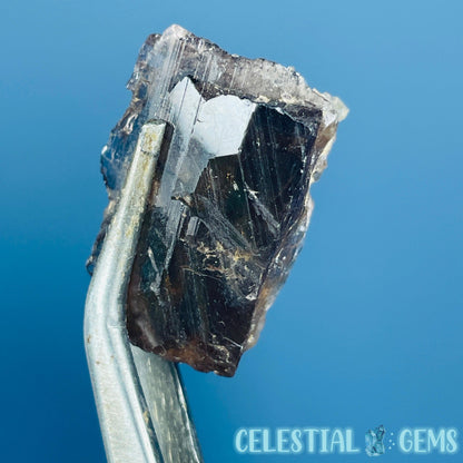 Rare Axinite Shard Gemstone Specimen with Pleochroism (Video)