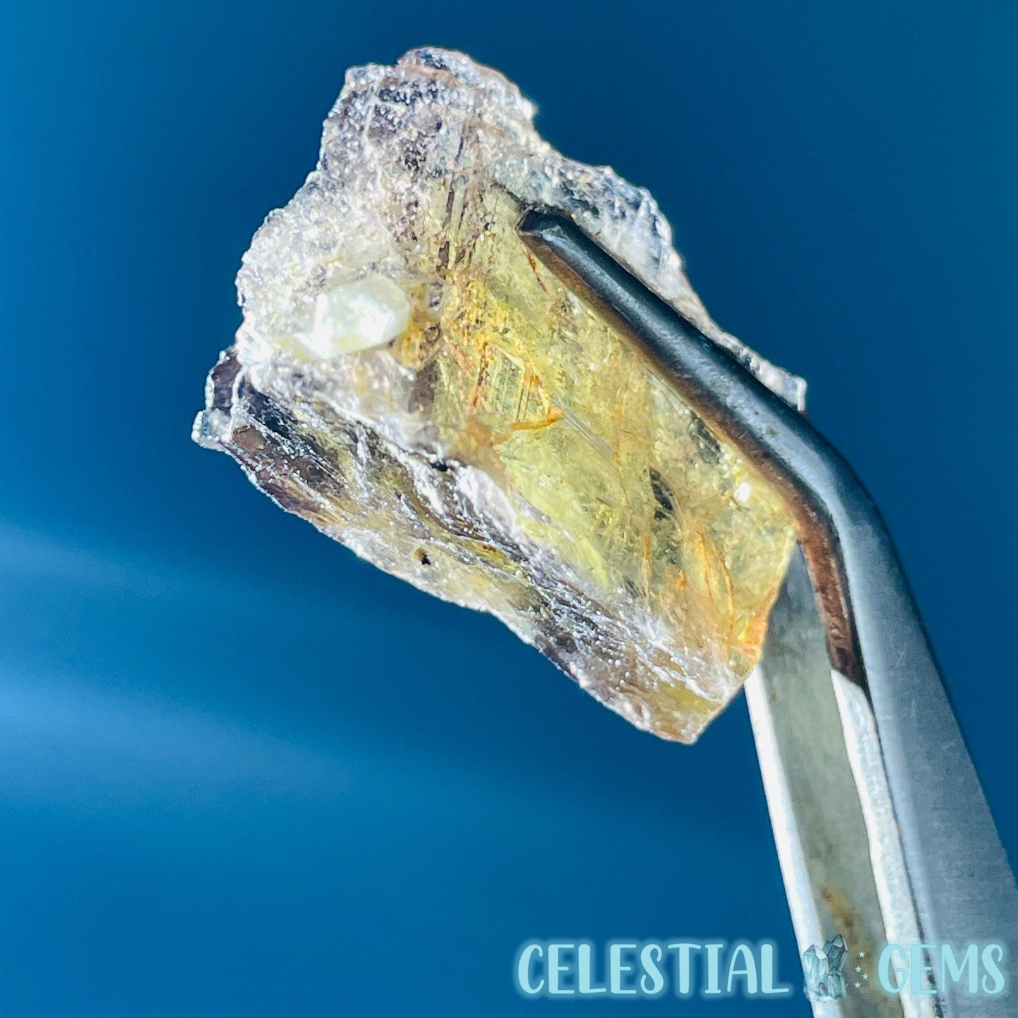 Rare Axinite Shard Gemstone Specimen with Pleochroism (Video)