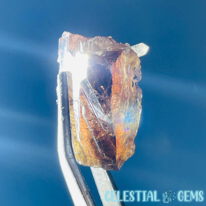 Rare Axinite Shard Gemstone Specimen with Pleochroism (Video)