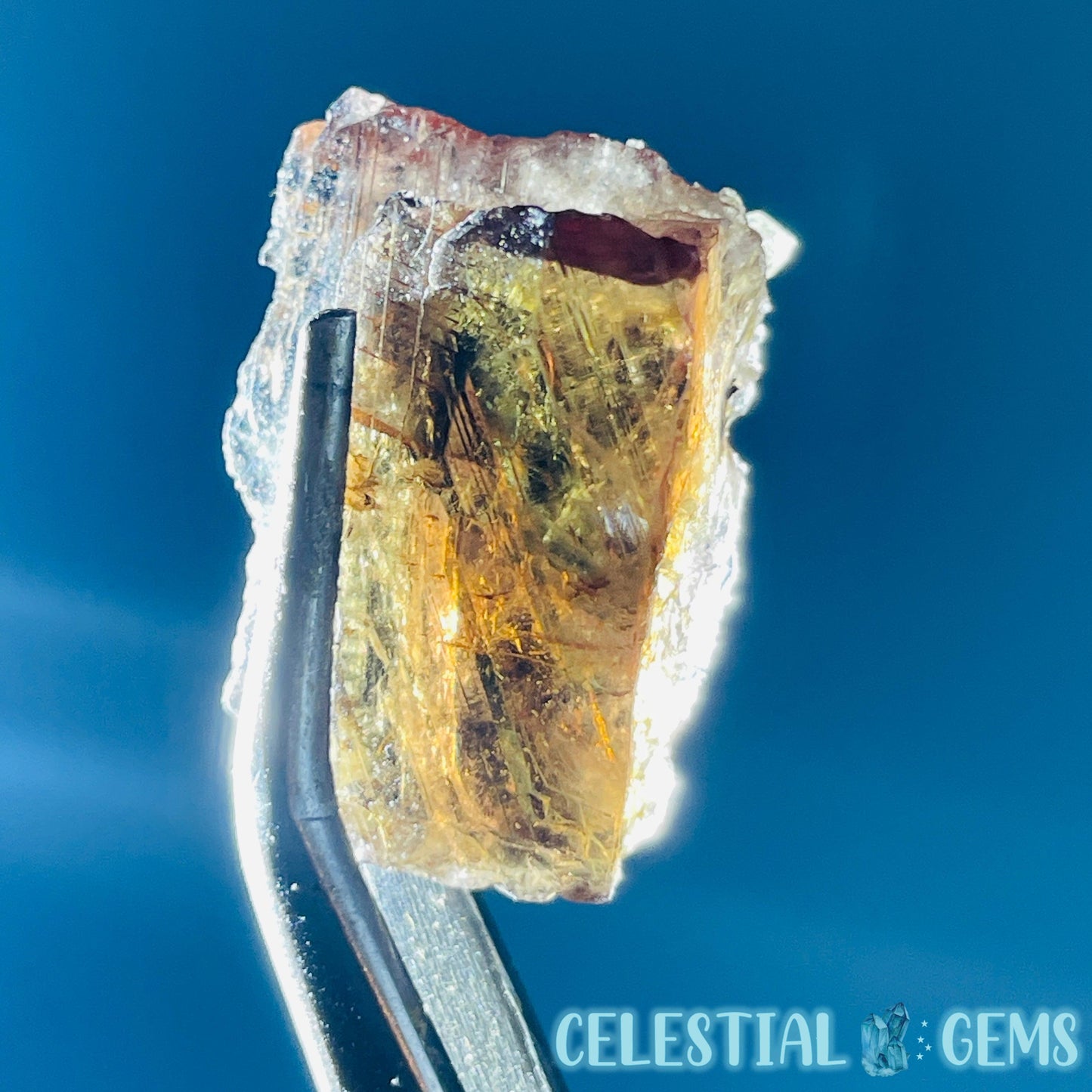 Rare Axinite Shard Gemstone Specimen with Pleochroism (Video)