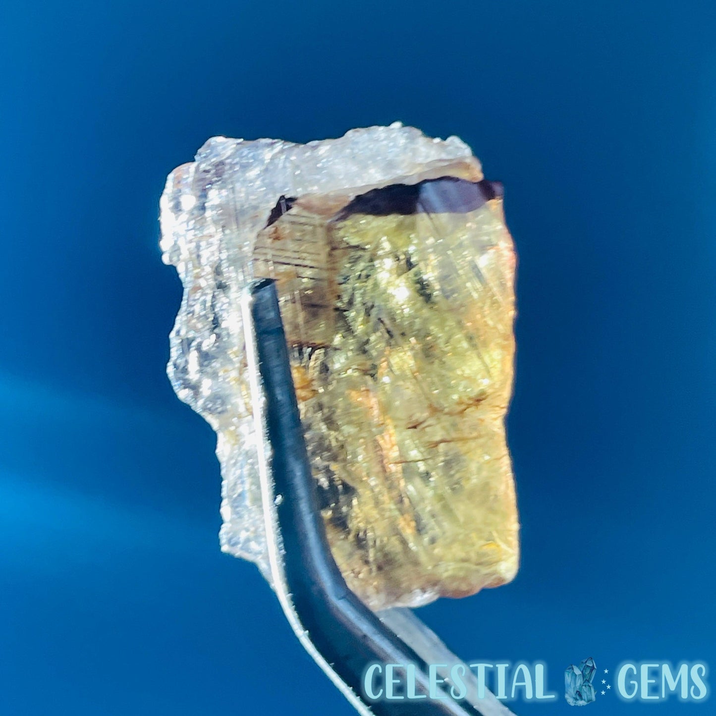 Rare Axinite Shard Gemstone Specimen with Pleochroism (Video)