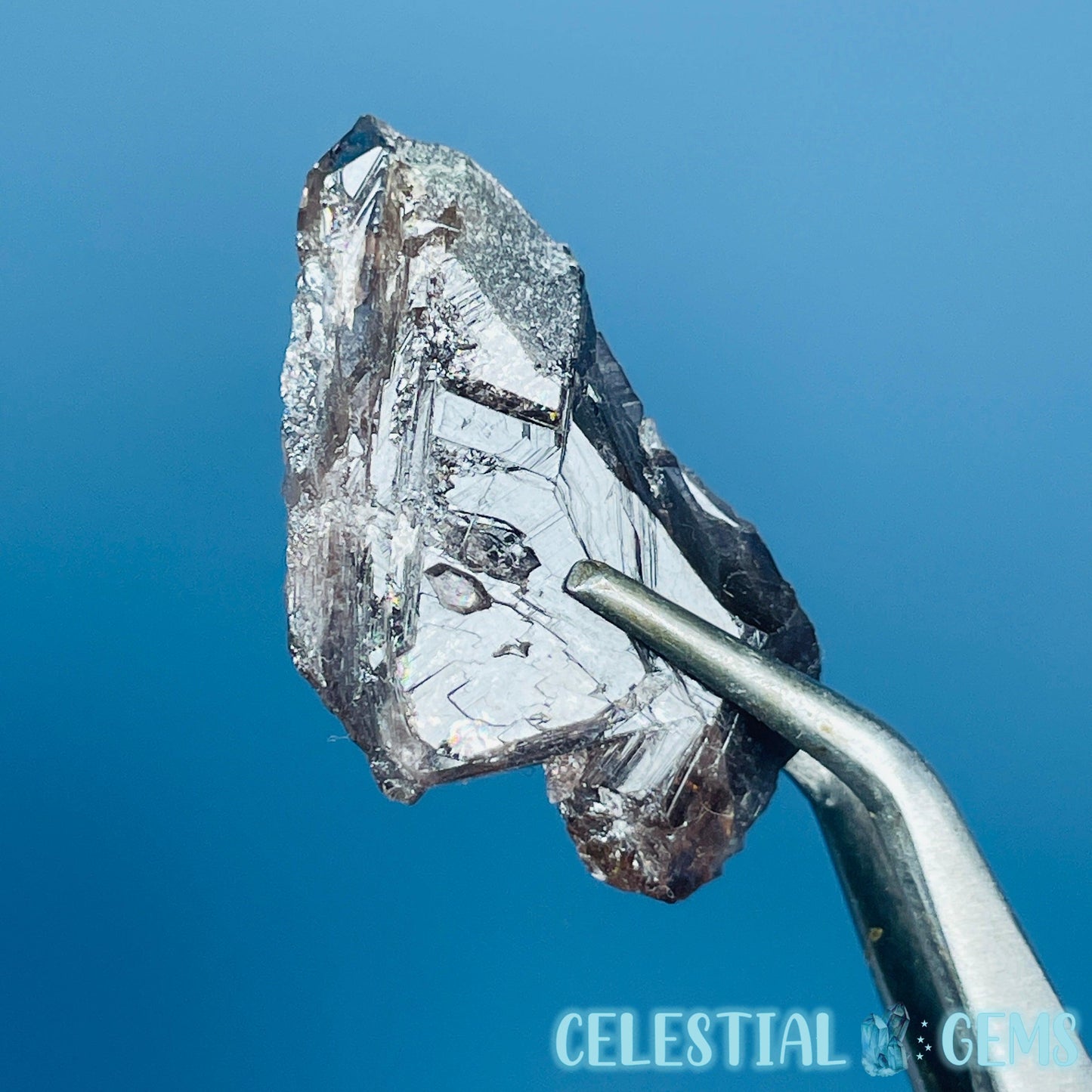 Rare Axinite Shard Gemstone Specimen with Pleochroism (Video)