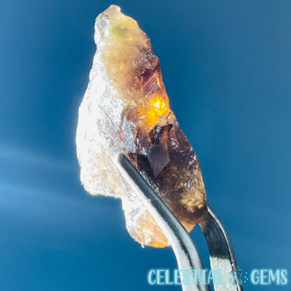 Rare Axinite Shard Gemstone Specimen with Pleochroism (Video)