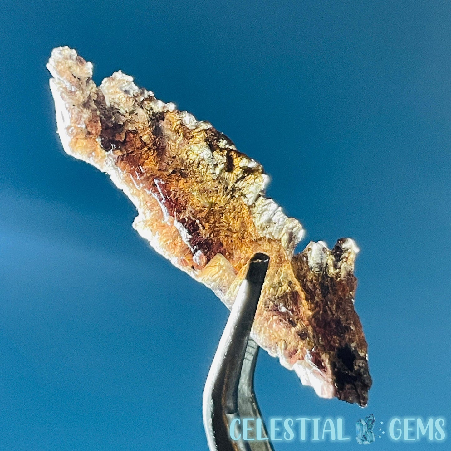 Rare Axinite Shard Gemstone Specimen with Pleochroism (Video)