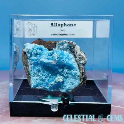 RARE Allophane Small Specimen