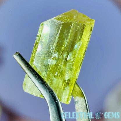 RARE Yellow Apatite Crystal Specimen A