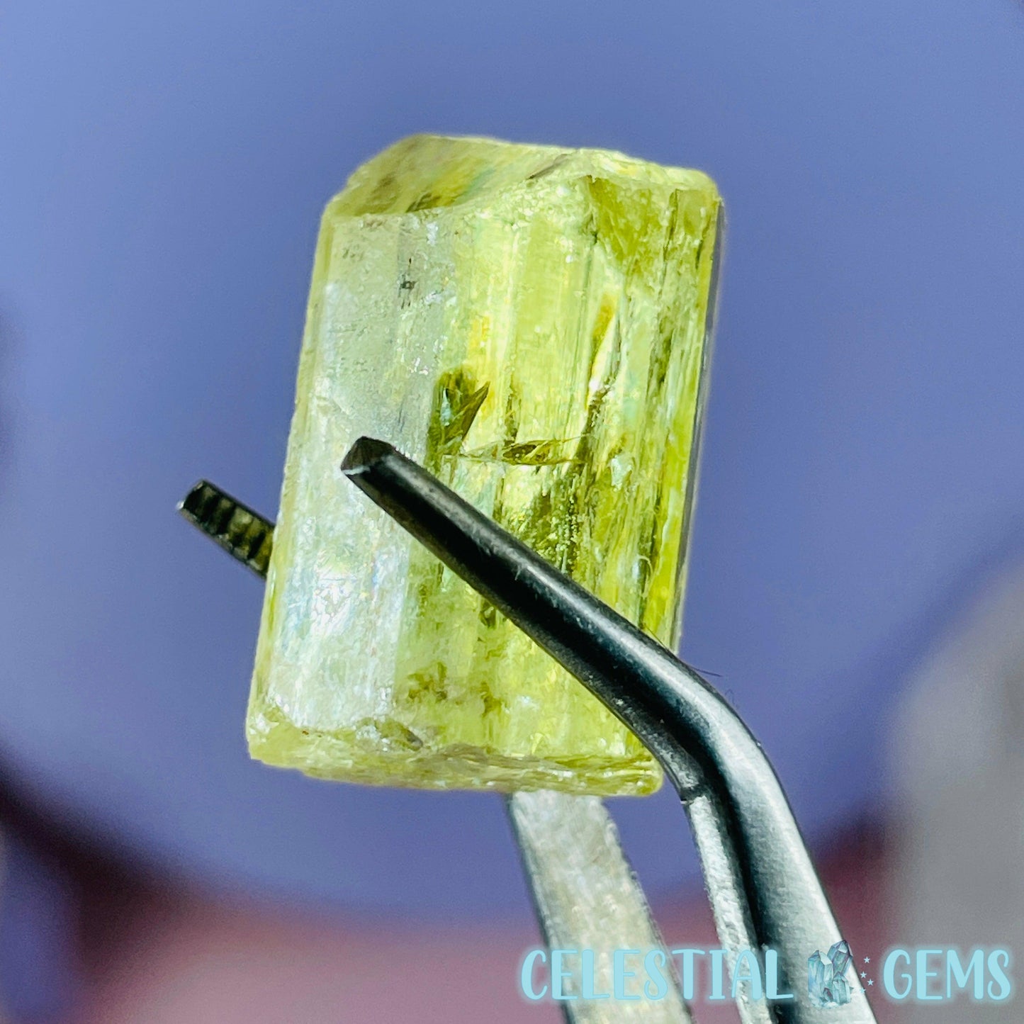 RARE Yellow Apatite Crystal Specimen A