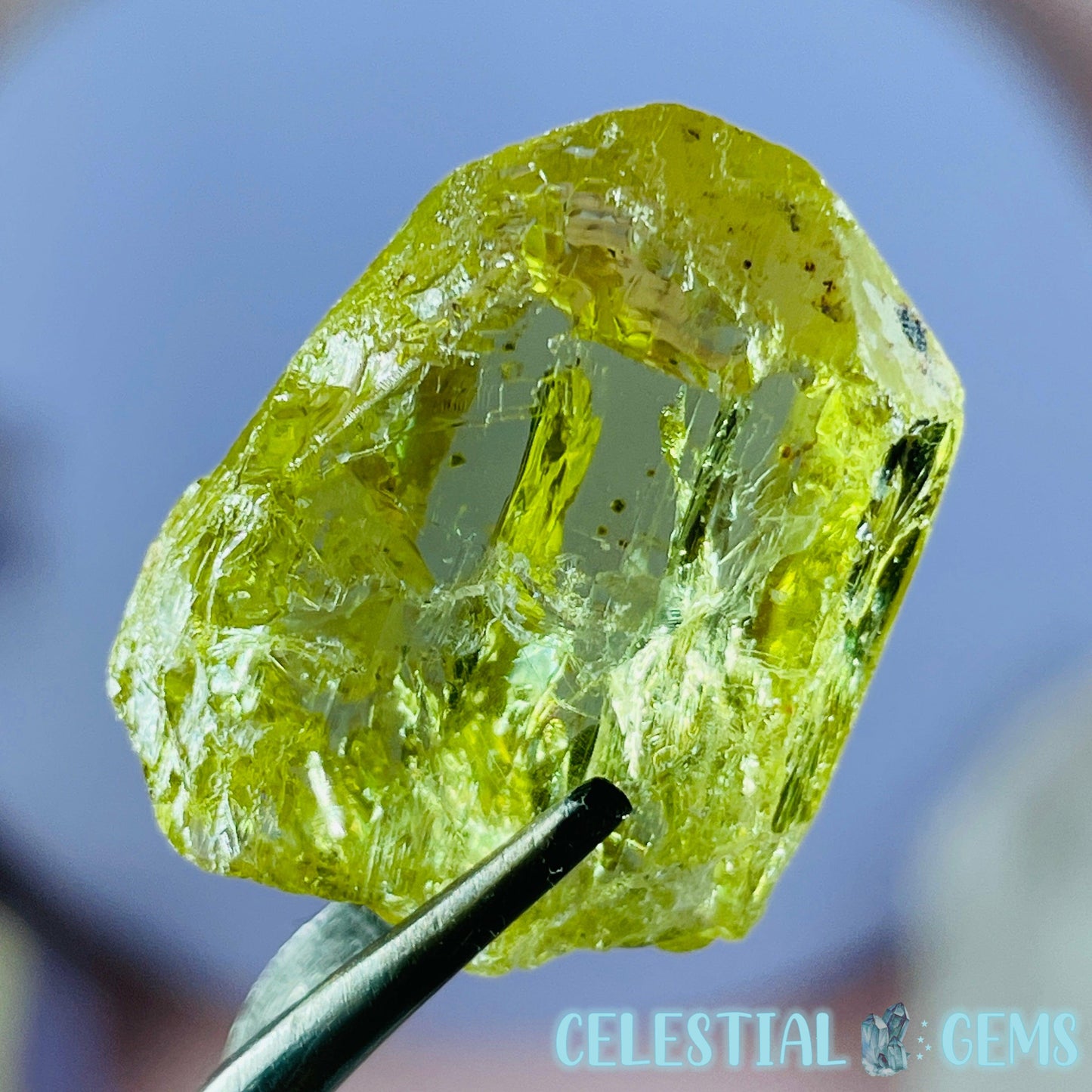 RARE Yellow Apatite Crystal Specimen B