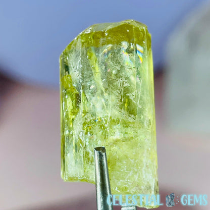 RARE Yellow Apatite Crystal Specimen D