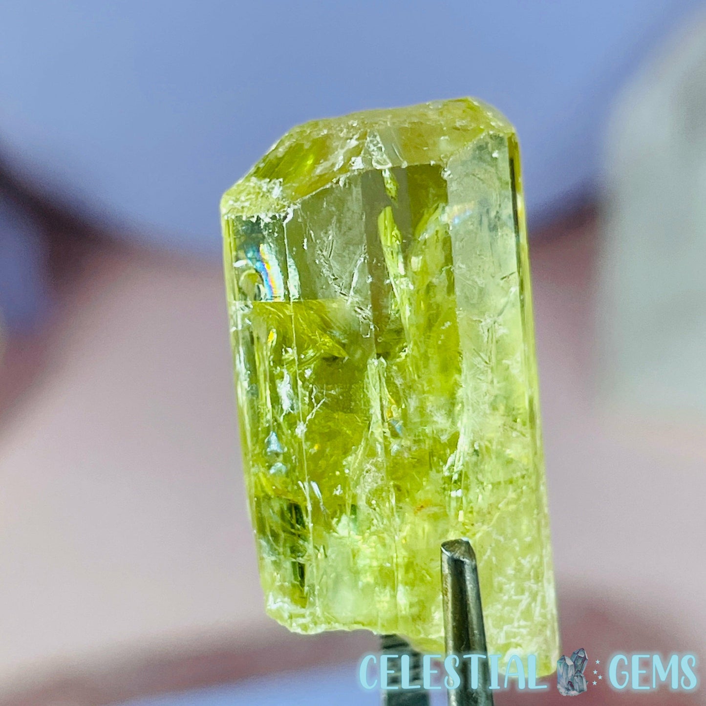 RARE Yellow Apatite Crystal Specimen D