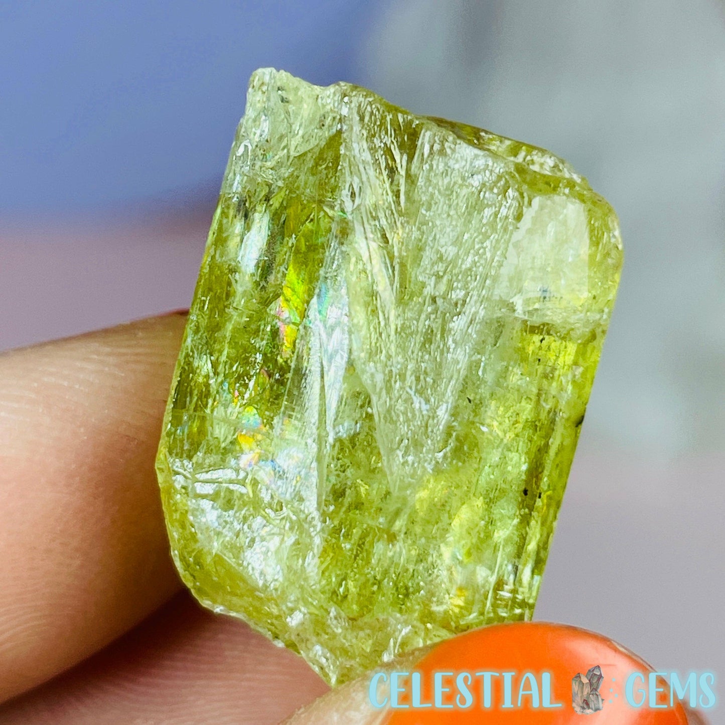 RARE Yellow Apatite Crystal Specimen F