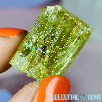 RARE Yellow Apatite Crystal Specimen F