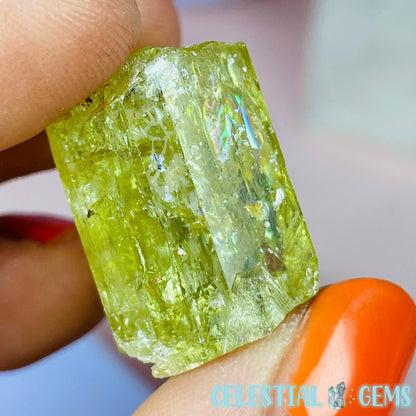 RARE Yellow Apatite Crystal Specimen F