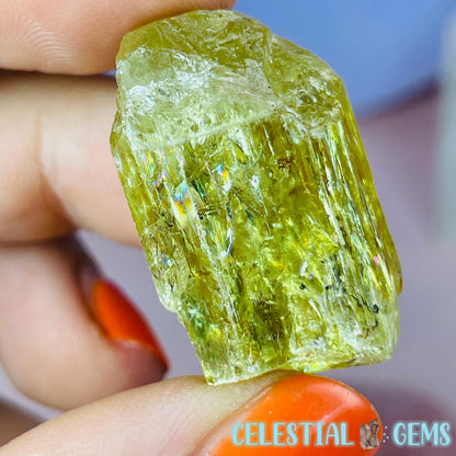 RARE Yellow Apatite Crystal Specimen G