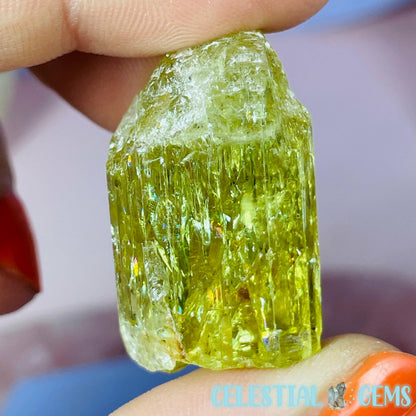 RARE Yellow Apatite Crystal Specimen G