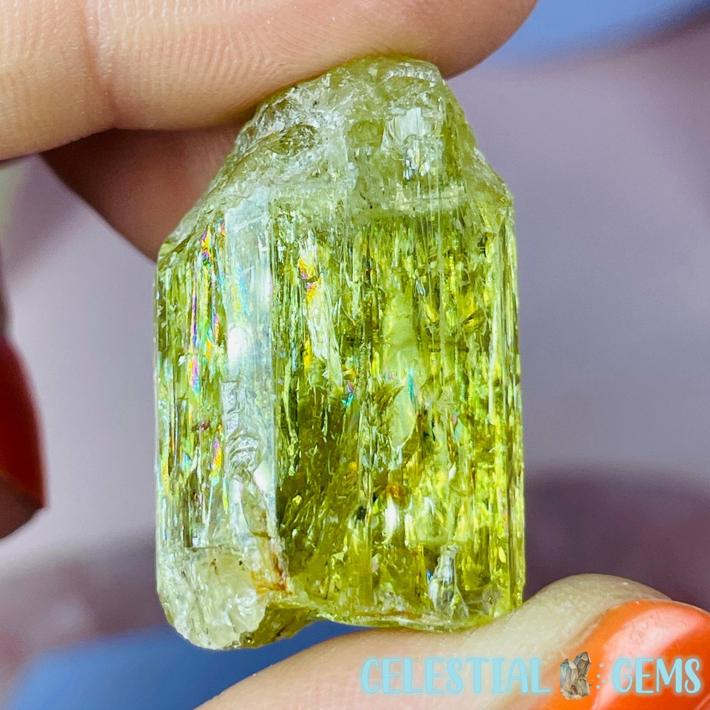 RARE Yellow Apatite Crystal Specimen G