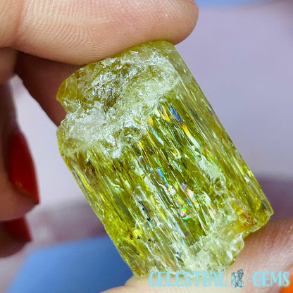 RARE Yellow Apatite Crystal Specimen G