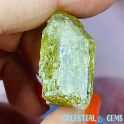 RARE Yellow Apatite Crystal Specimen G