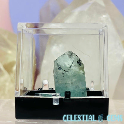 A Grade Aquamarine Beryl Terminated Crystal Thumbnail Specimen B
