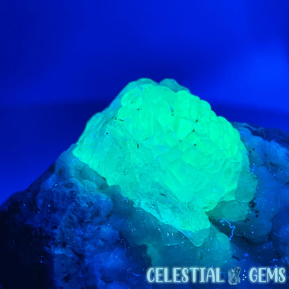 Hyalite Opal on Common Opal Matrix Medium Specimen (UV)