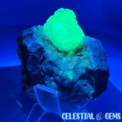 Hyalite Opal on Common Opal Matrix Medium Specimen (UV)