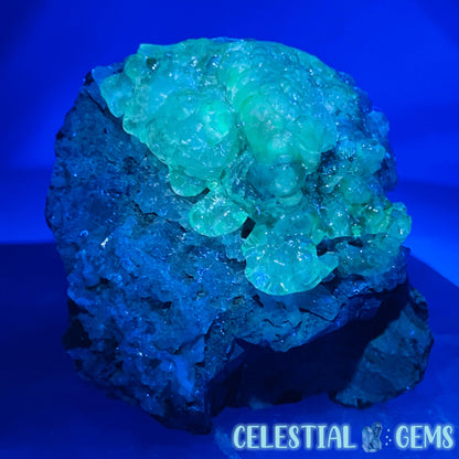 Hyalite Opal on Quartz Matrix Medium Specimen (UV)