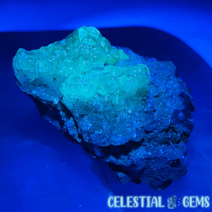 Hyalite Opal on Matrix Medium Specimen (UV)