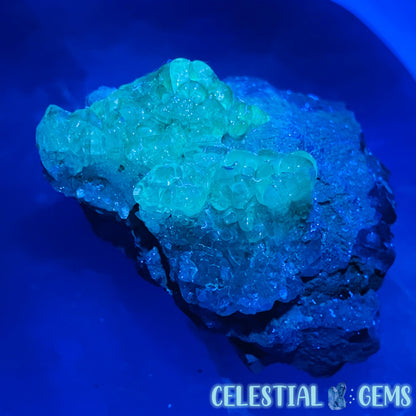 Hyalite Opal on Matrix Medium Specimen (UV)