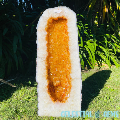 Citrine (HT) Tall XXL Geode Cave (Kitty not for sale 😸)