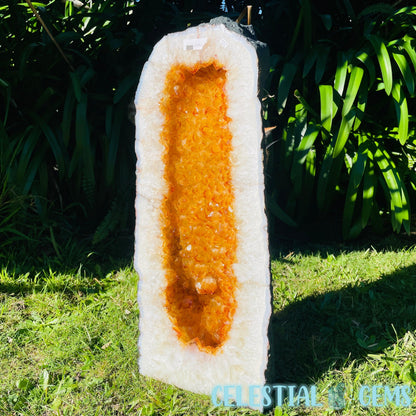 Citrine (HT) Tall XXL Geode Cave (Kitty not for sale 😸)