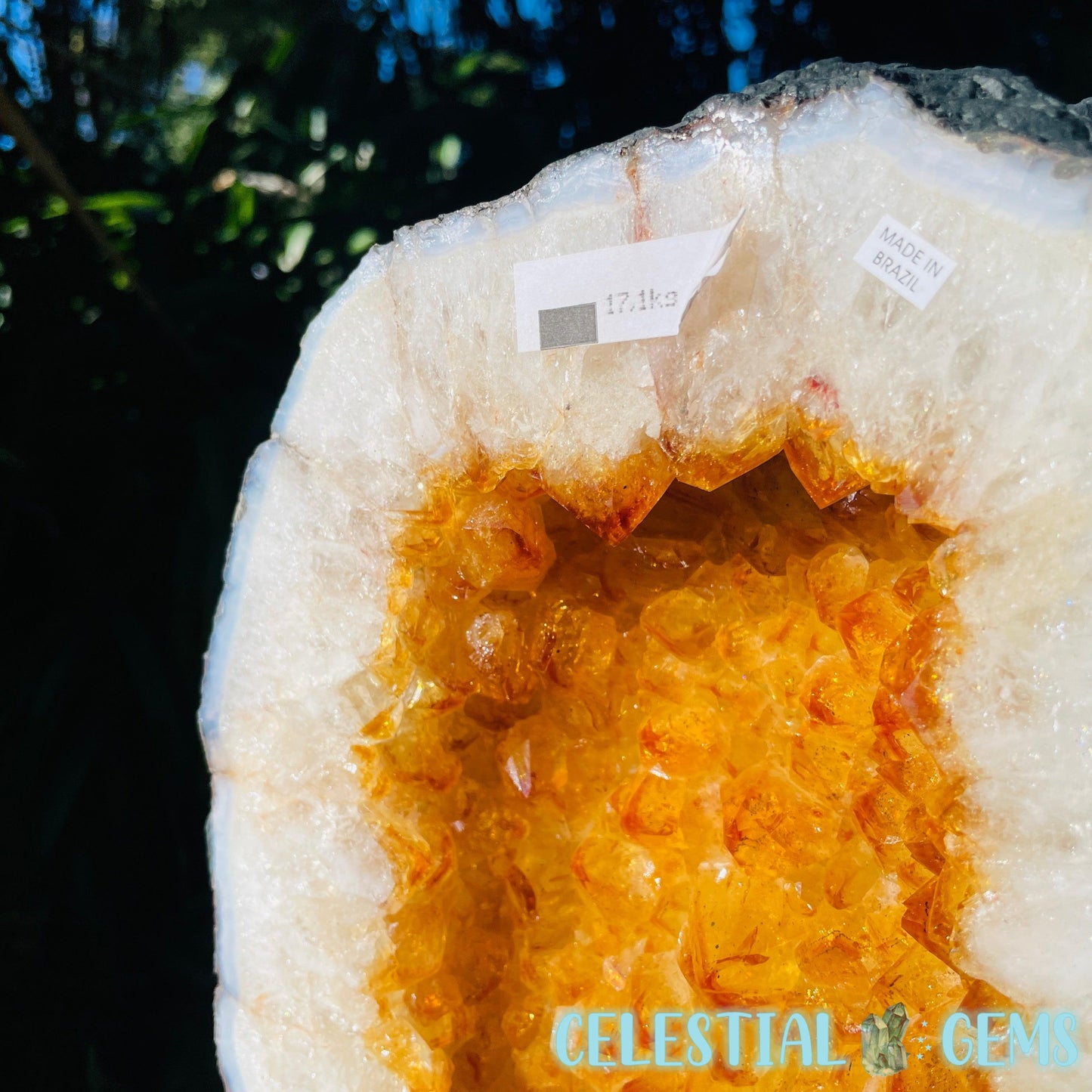 Citrine (HT) Tall XXL Geode Cave (Kitty not for sale 😸)