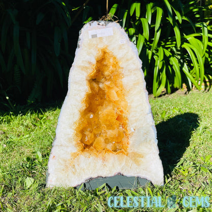 Citrine (HT) Large Geode Cave