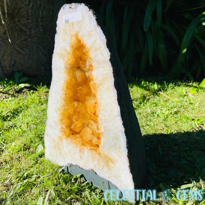 Citrine (HT) Large Geode Cave