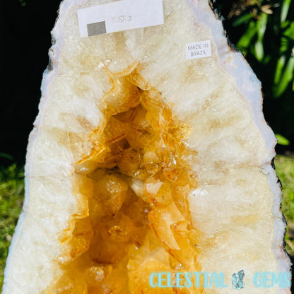 Citrine (HT) Large Geode Cave