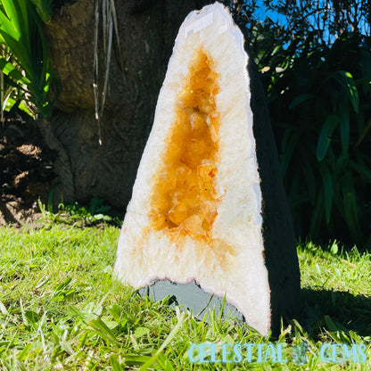 Citrine (HT) Large Geode Cave