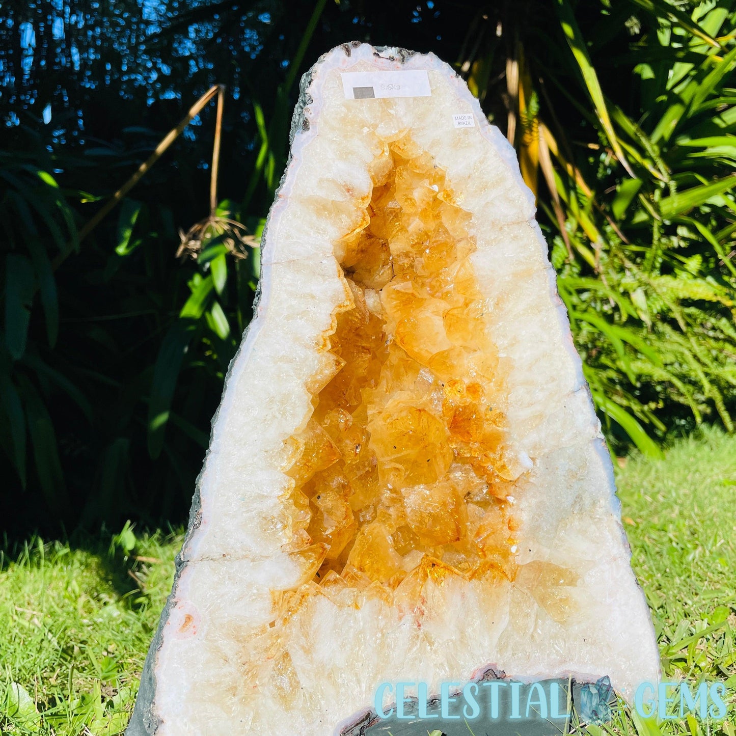 Citrine (HT) Large Geode Cave