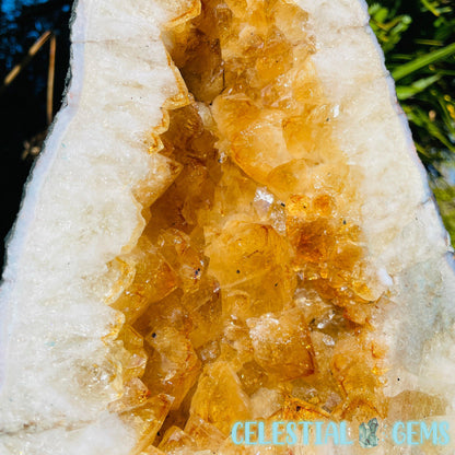 Citrine (HT) Large Geode Cave