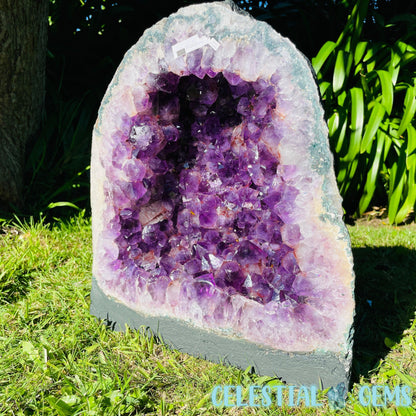 Dark Amethyst Wide XL Geode Cave (Video)