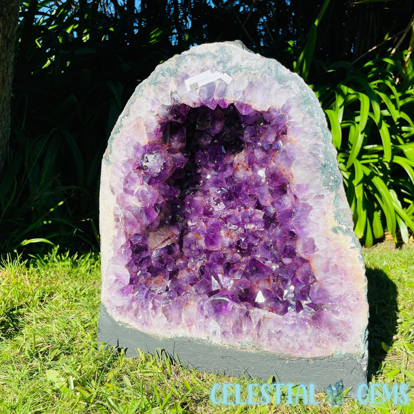 Dark Amethyst Wide XL Geode Cave (Video)