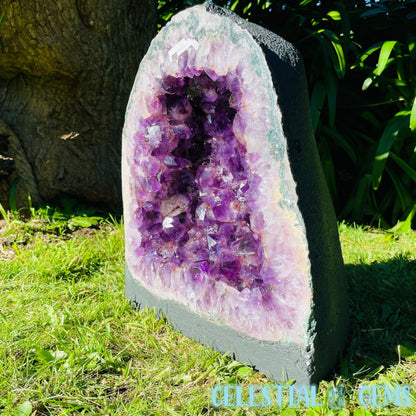 Dark Amethyst Wide XL Geode Cave (Video)