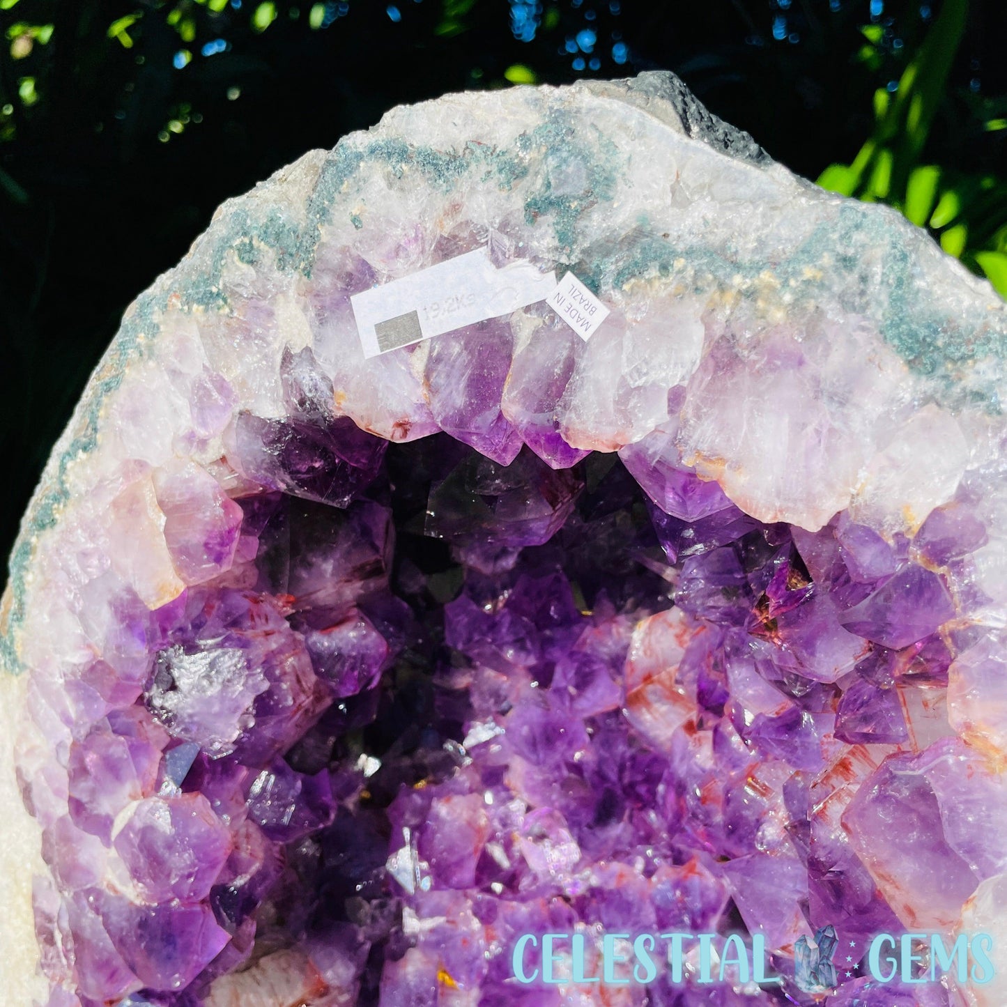 Dark Amethyst Wide XL Geode Cave (Video)