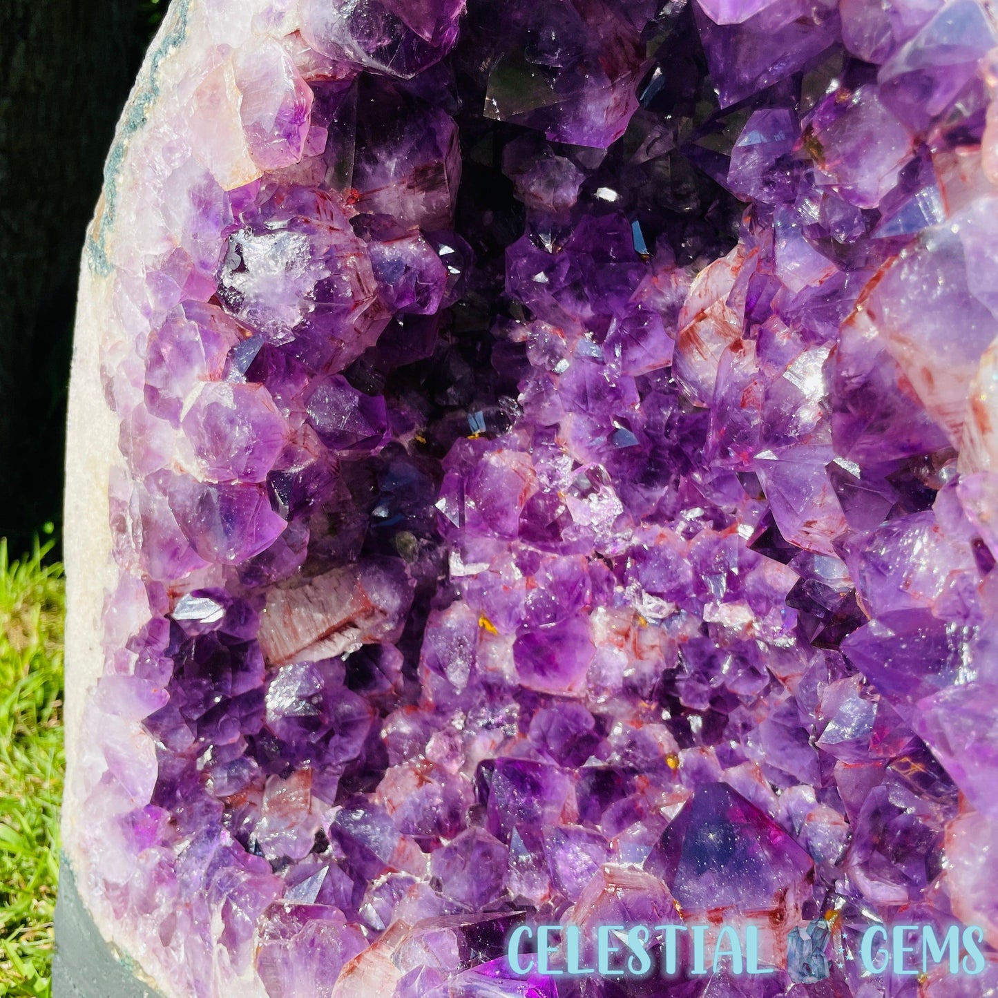 Dark Amethyst Wide XL Geode Cave (Video)