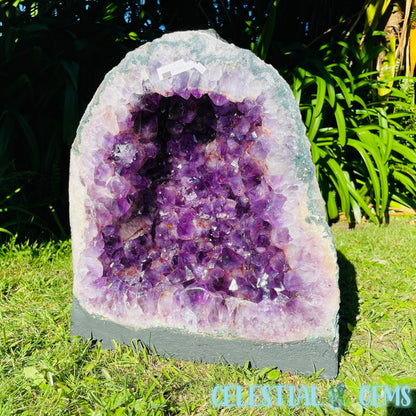 Dark Amethyst Wide XL Geode Cave (Video)