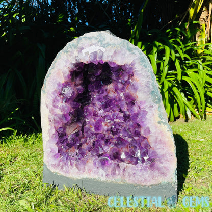 Dark Amethyst Wide XL Geode Cave (Video)