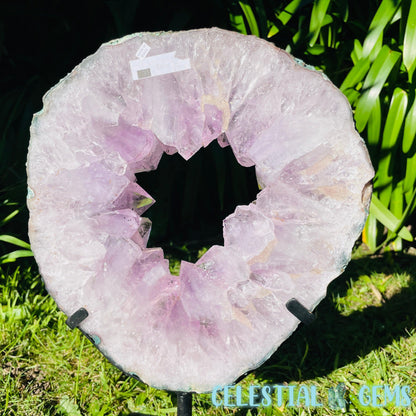 Amethyst Geode Ring XL Slab on Metal Stand (Video)