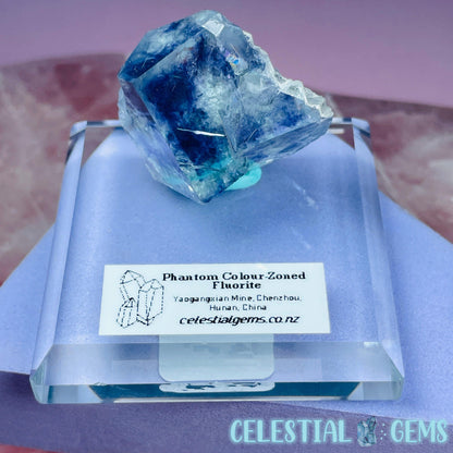 EXCELLENT Yaogangxian Colour-Zoned Fluorite Small Cluster Specimen (Video)