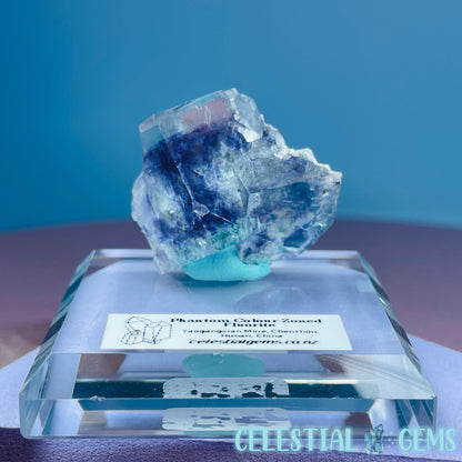 EXCELLENT Yaogangxian Colour-Zoned Fluorite Small Cluster Specimen (Video)